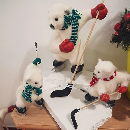 Otel Alpenpark Superior